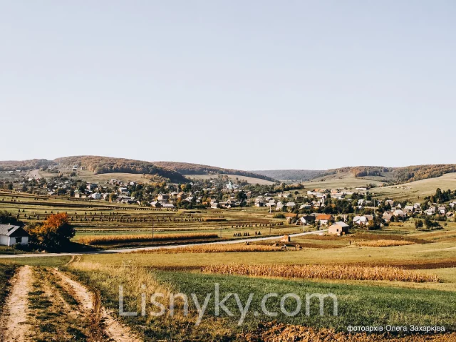 Сучасна панорама села Лісники