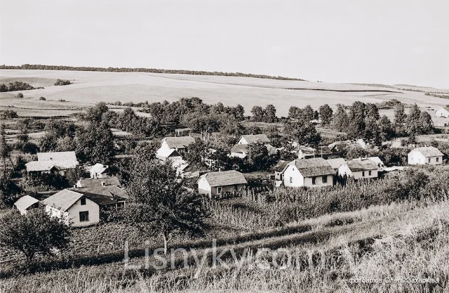 Історичний краєвид Лісників
