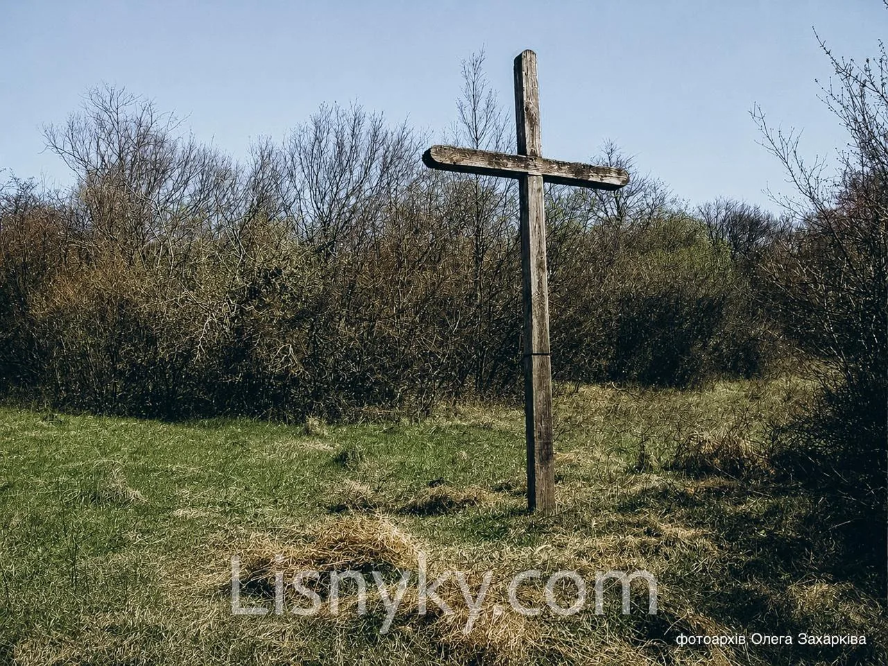 Пам'ятний хрест в урочищі Бортник