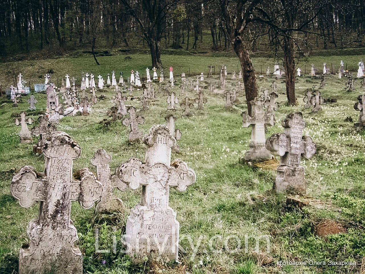 Стародавній цвинтар села Лісники зі старовинними кам’яними хрестами