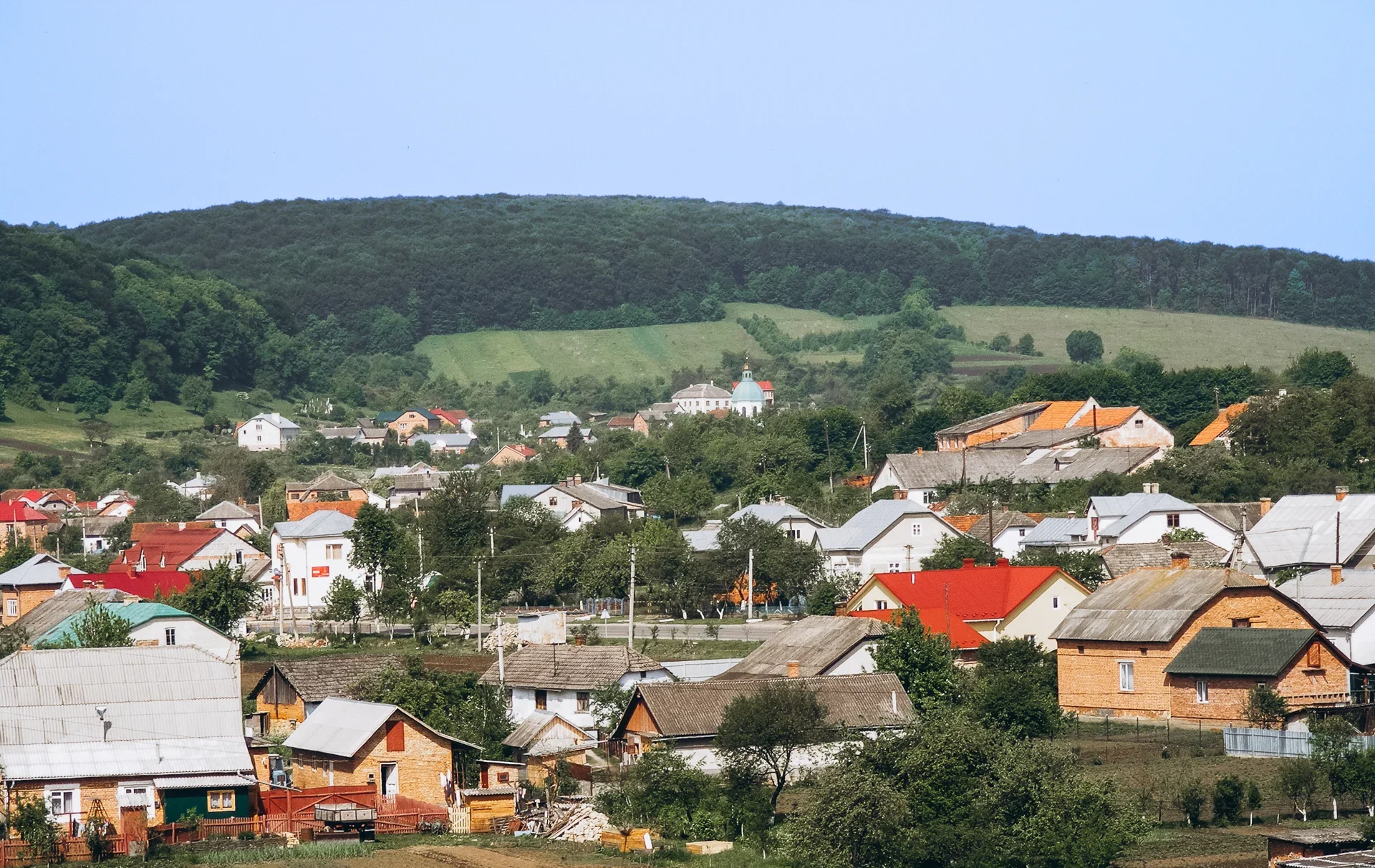 Панорама села Лісники